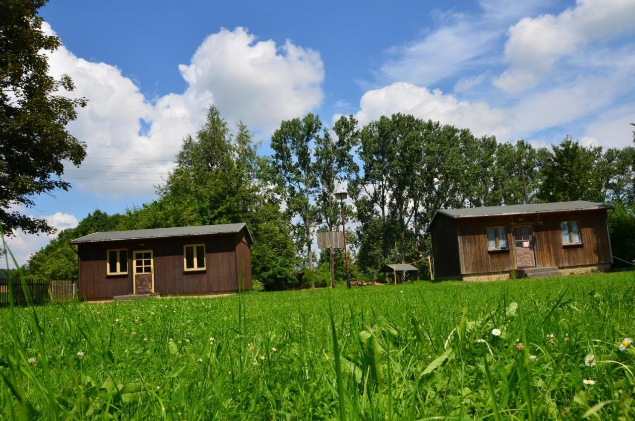 Teichcamp Hostel Grosshartmannsdorf ภายนอก รูปภาพ