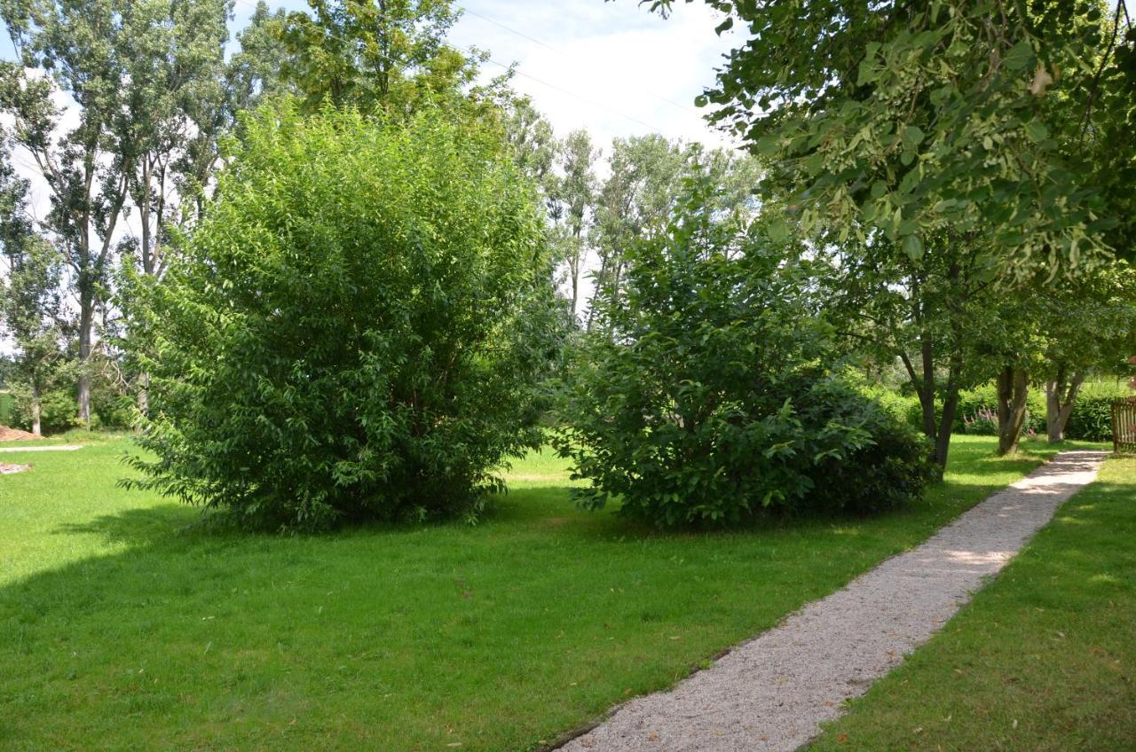 Teichcamp Hostel Grosshartmannsdorf ภายนอก รูปภาพ